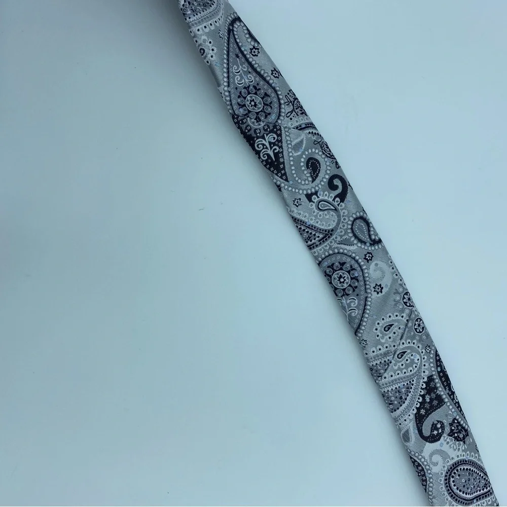Bergamo Men’s Tie Gray‎ Silver & Paisley